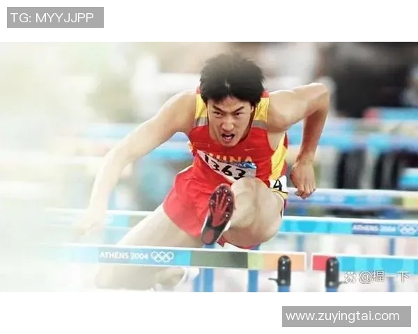 鹞子足球明星的传奇故事与成就揭秘，谁是这项运动的璀璨明星